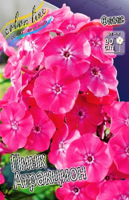 Флокс Пинк Атракцион (5шт) 4843