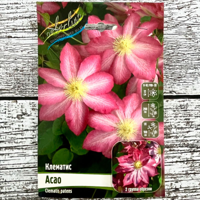 Клематис АСАО (2 группа обрезки)