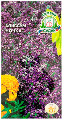 Алиссум морской НОЧКА СеДеК