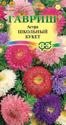 Астра Букет школьный, смесь 0,3 г  Н12