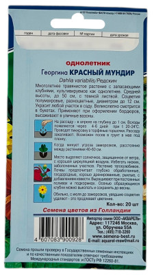 Георгина КРАСНЫЙ МУНДИР АКВАРЕЛЬ описание
