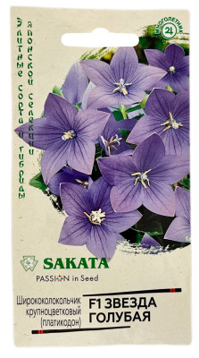 Ширококолокольчик крупноцветковый платикодон ЗВЕЗДА ГОЛУБАЯ ГАВРИШ