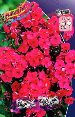 Флокс Мисс Мари (5шт) 1858 Флокс Мисс Мари (5шт) 1858