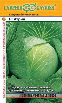 Капуста белокоч. Атрия F1 10 шт для квашения (Голландия)