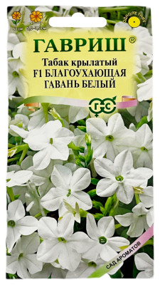 Табак крылатый F1 БЛАГОУХАЮЩАЯ ГАВАНЬ БЕЛЫЙ ГАВРИШ