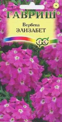 Вербена Элизабет*  0,05 г Н10