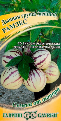 Томат РАМЗЕС ГАВРИШ