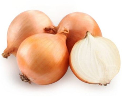 лук Севок Альфа Голландия