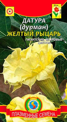 Датура (Дурман) Желтый рыцарь 4шт