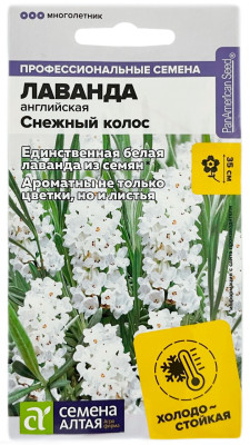 Лаванда английская СНЕЖНЫЙ КОЛОС СЕМЕНА АЛТАЯ