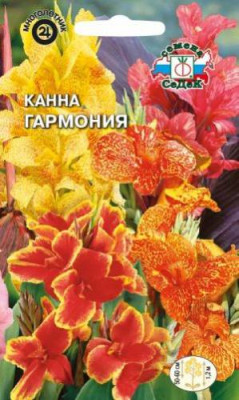 Канна индийская Гармония (смесь)