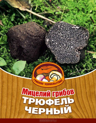 Грибы Трюфель черный