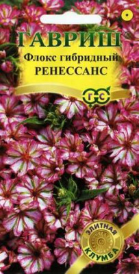 Флокс Ренессанс гибридный* 8 шт. сер. Элитная клумба