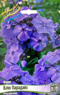 Флокс Блю Парадайз (2шт)