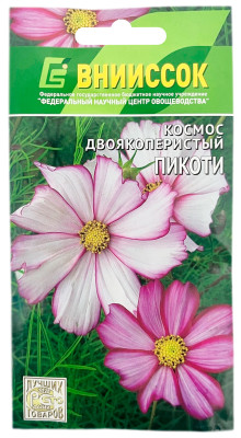 Космос двоякоперистый ПИКОТИ ВНИИССОК