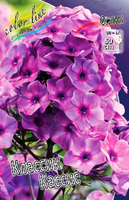 Флокс Классик Кассис (1шт) 3229