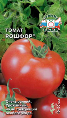томат Рошфор