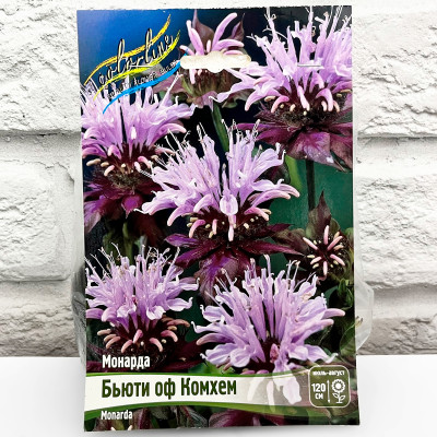 Монарда БЬЮТИ ОФ КОМХЕМ