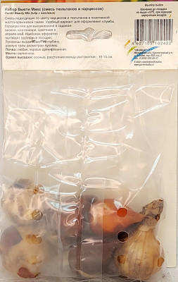 Набор Бьюти Микс Тюльпан+Нарцисс (3+3)