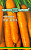 Морковь на ленте Настена 8м