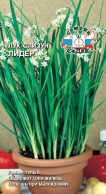 Лук слизун Лидер 