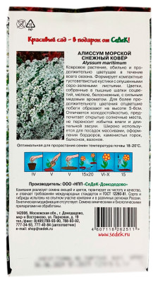 Алиссум морской СНЕЖНЫЙ КАВЕР СеДеК описание