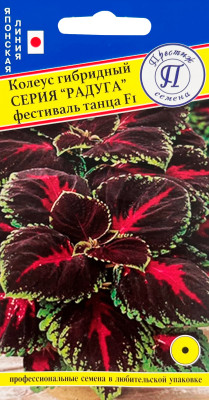 Колеус Радуга Фестиваль танца 10шт