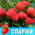 Земляника (Клубника) Спаржи в стаканчике Земляника (Клубника) Спаржи в стаканчике