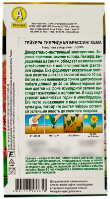 Гейхера гибридная брессингхема АЭЛИТА описание