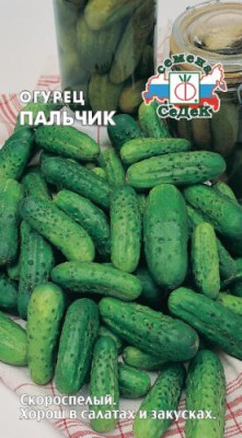 огурец Пальчик Седек огурец Пальчик Седек