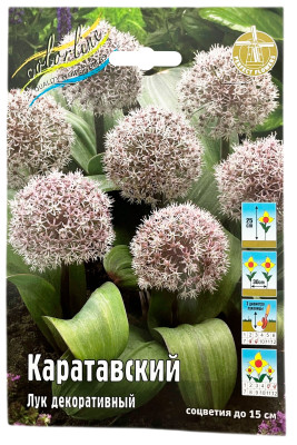 Лук декоративный КАРАТАВСКИЙ
