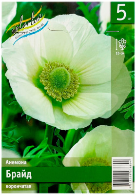 Анемона БРАЙД корончатая