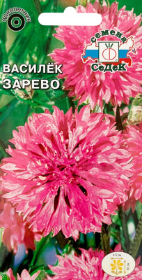 Василек Зарево