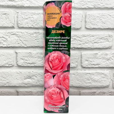Роза чайно-гибридная ДЕЗИРЕ