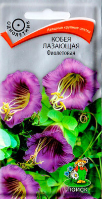 Кобея Фиолетовая 5шт