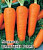Морковь Шантенэ Роял 25,0 г