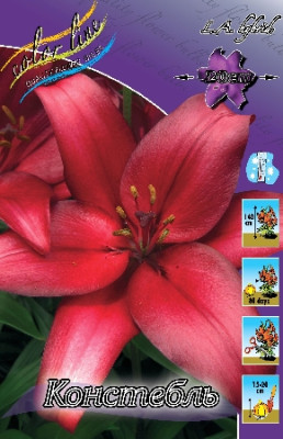 Лилия Констебль (1шт) 3708