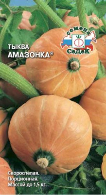 тыква Амазонка
