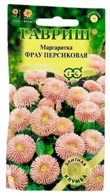 Маргаритка Фрау Персиковая ГАВРИШ