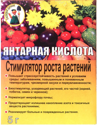 Янтарная кислота 5г