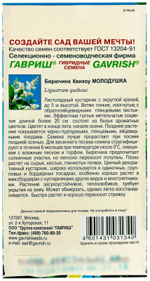Бирючина Квихоу Молодушка ГАВРИШ описание