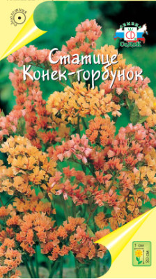 Статице Конек-Горбунок (вид: выемчатый, нежно-абрикосовый)