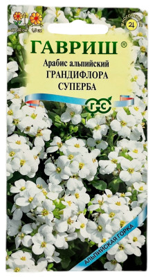Арабис альпийский ГРАНДИФЛОРА СУПЕРБА ГАВРИШ
