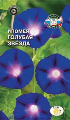 Ипомея Голубая Звезда