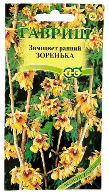 Зимоцвет ранний ЗОРЕНЬКА ГАВРИШ