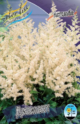 Астильба Диамант (1шт) 4067