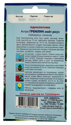 Астра ГРЕМЛИН лайт роуз АКВАРЕЛЬ описание