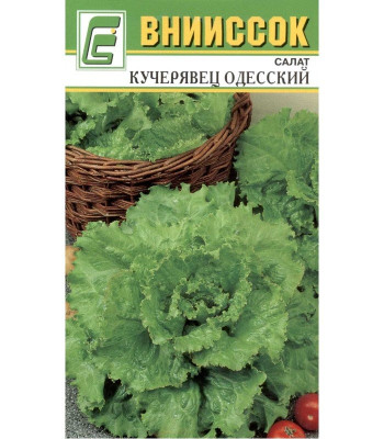 Салат Кучерявец Одесский полукочанный