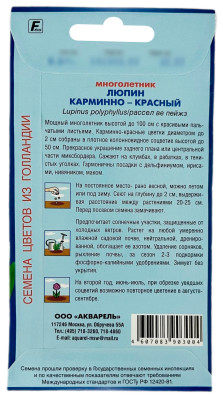 Люпин КАРМИННО-КРАСНЫЙ АКВАРЕЛЬ описание