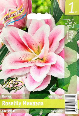 Лилия Микаэла (1шт)
